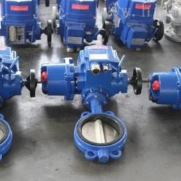 Butterfly Valve Basics: Anatomy and Design